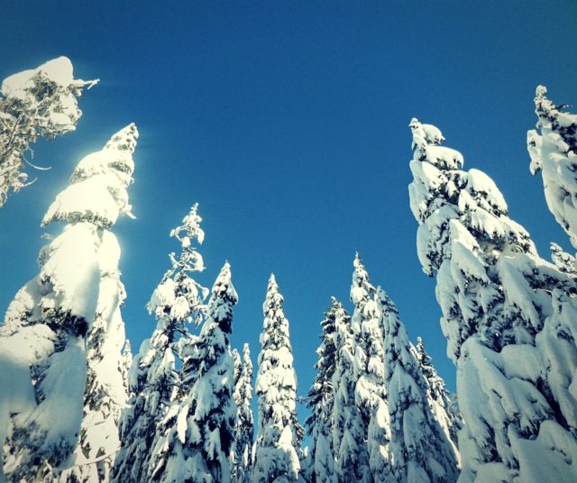 Cypress Mountain na rakietach śnieżnych