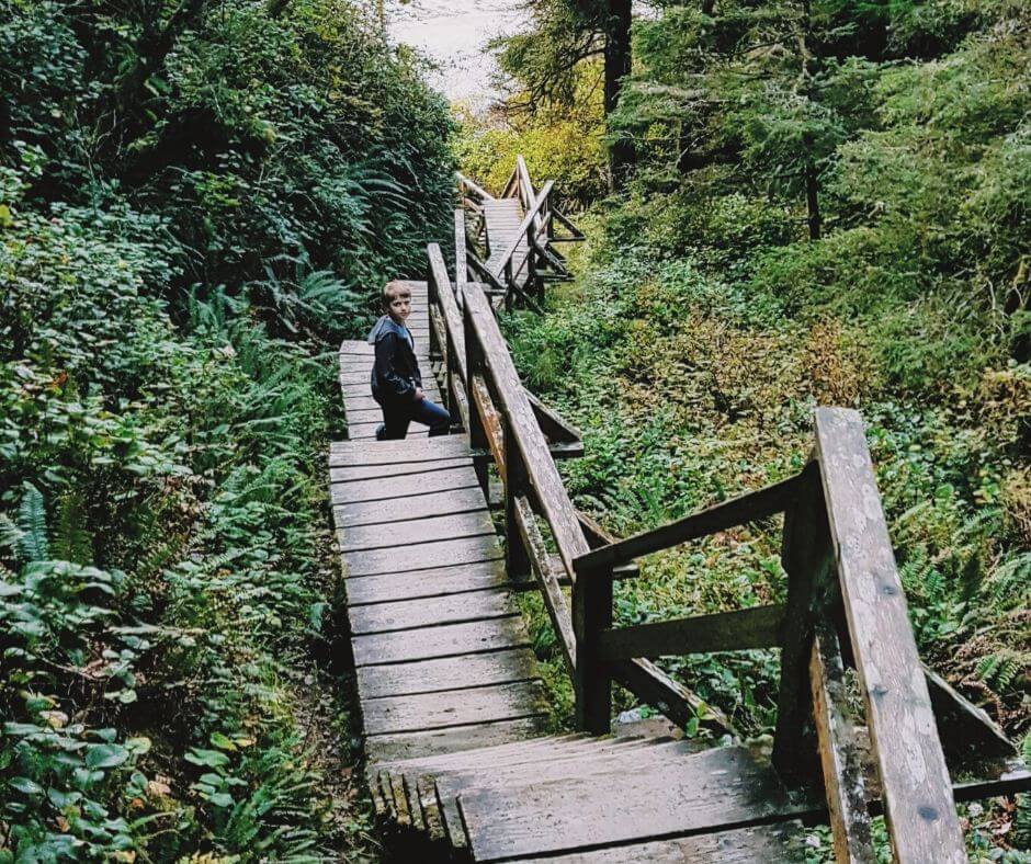 Brak kanadyjskiego wykształcenia równa się brak pracy w Kanadzie? A wcale że nie !!!